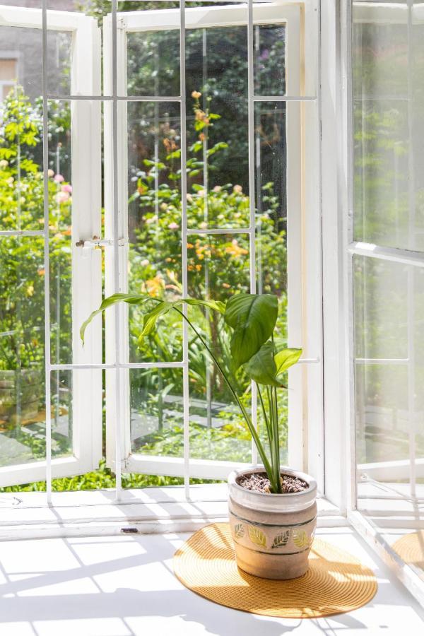 Cozy And Bright 1Bdr Apartment In The City Center! ซาเกร็บ ภายนอก รูปภาพ